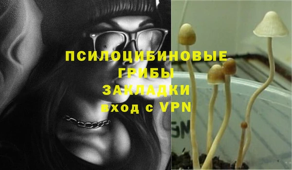 дистиллят марихуана Заводоуковск