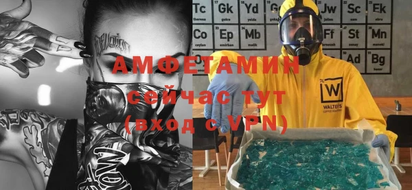 шишки Щигры