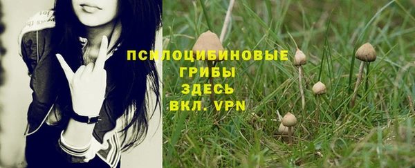 МДМА Заволжск