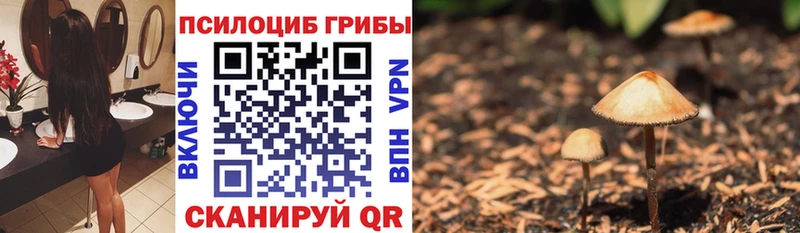 Псилоцибиновые грибы мицелий  Шуя 